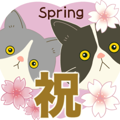 [LINEスタンプ] 【飛び出す】ハチワレコンビ♡お祝い♡春〜