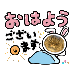 [LINEスタンプ] Frisky⭐︎⭐︎