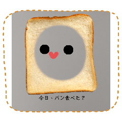 [LINEスタンプ] まっしろくんののりのりスタンプ
