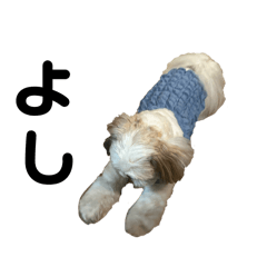 [LINEスタンプ] もくちゃんかわいい