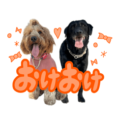 [LINEスタンプ] スラッシュ＆ブラン⑤