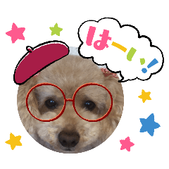 [LINEスタンプ] 大好きな美美ちゃんのスタンプ