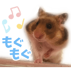 [LINEスタンプ] むむちゃんとべるちゃん