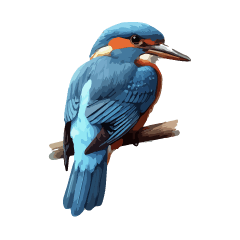 [LINEスタンプ] 鳥の詰め合わせ
