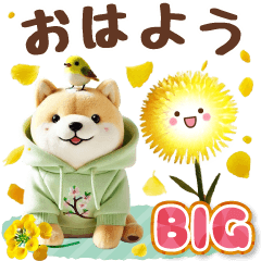 [LINEスタンプ] 癒し柴犬の春のあいさつ【BIG】