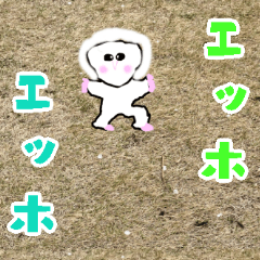 [LINEスタンプ] 可愛すぎる梟【ふくろう】のスタンプ