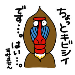 [LINEスタンプ] となりのマンドリル 日常スタンプ(丁寧語)