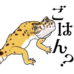 [LINEスタンプ] 愛すべきレオパちゃん。