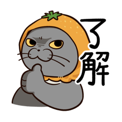 [LINEスタンプ] ブリショくうのスタンプ