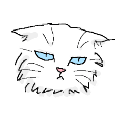 [LINEスタンプ] もふもふボディの白猫にゃんこ