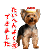 [LINEスタンプ] ヨークシャテリア 1