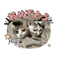 [LINEスタンプ] 猫のイト・トロ！