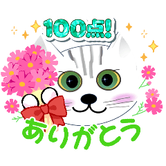 [LINEスタンプ] 猫の挨拶スタンプ1