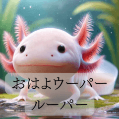 [LINEスタンプ] リアルな動物たちのあいさつスタンプ