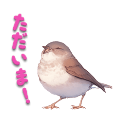 [LINEスタンプ] 日使える鳥スタンプ - シロハラ