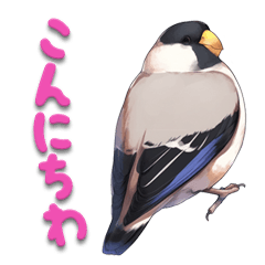[LINEスタンプ] 毎日使える鳥スタンプ - イカル