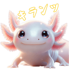 [LINEスタンプ] ウーパールーパー！超可愛い！3Dリアル