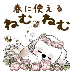 [LINEスタンプ] シーズー犬 2025 「春」