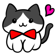 [LINEスタンプ] 猫スタンプ ハチワレくん