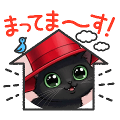 [LINEスタンプ] クリクリおめめのニャンコ