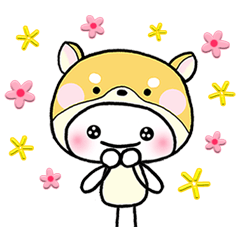 [LINEスタンプ] 柴犬被ったケン坊の日常会話