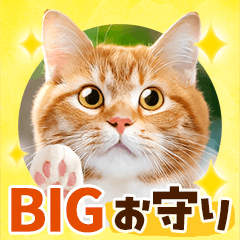 [LINEスタンプ] BIG❤お守り❤かわいい猫写真