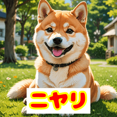 [LINEスタンプ] 柴犬のpaw