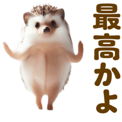 [LINEスタンプ] 踊る！ハリネズミの画像（メイン）