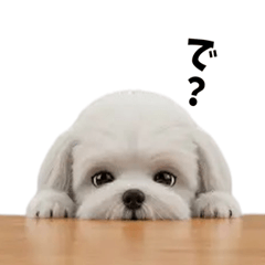 [LINEスタンプ] なげやり3Dシーズー