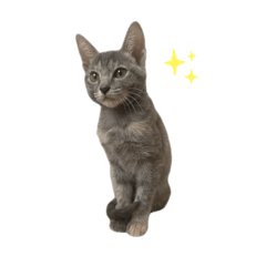 [LINEスタンプ] suibunhokyu