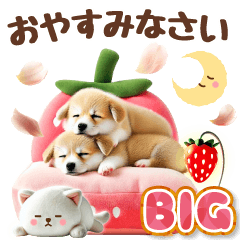 [LINEスタンプ] 癒しコーギーの春のあいさつ【BIG】