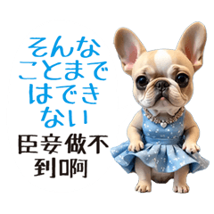 [LINEスタンプ] フレンチブルドッグ（中国語と日本語）の画像（メイン）