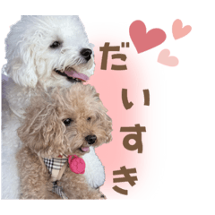 [LINEスタンプ] めいもこスタンプ② 2024年度版