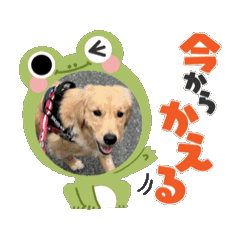 [LINEスタンプ] まろん87の画像（メイン）