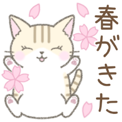 [LINEスタンプ] 【春】毎日使える☆トラ猫さん
