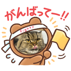 [LINEスタンプ] フリスキーの画像（メイン）