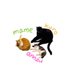 [LINEスタンプ] くろまめあんこ