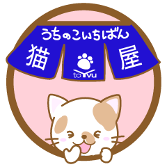 [LINEスタンプ] 【猫屋】うちの子1番(色んな猫)-toYvu-