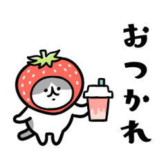 [LINEスタンプ] 春をまとうネコたち