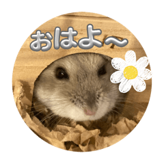[LINEスタンプ] はむちゅっちゅ