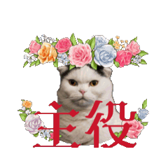 [LINEスタンプ] 猫犬待ち合わせ2の画像（メイン）