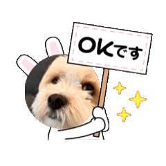 [LINEスタンプ] 愛犬マルキャバスタンプの画像（メイン）