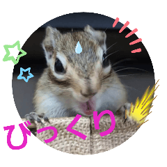 [LINEスタンプ] みんなと一緒 31