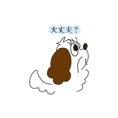 [LINEスタンプ] キャバリアぶーちゃん