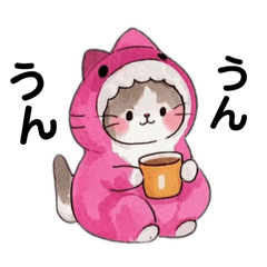 [LINEスタンプ] サメの着ぐるみを着たネコ【日常挨拶】