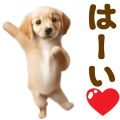 [LINEスタンプ] 踊る！ゴールデンレトリバー