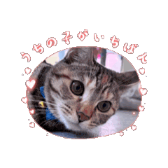 [LINEスタンプ] アタチちまき