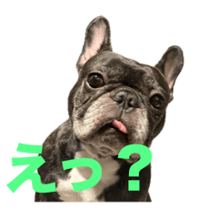 [LINEスタンプ] いきいきばぶるmax
