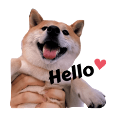 [LINEスタンプ] Happy potato's stamp