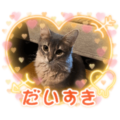[LINEスタンプ] シフォン♡chiffon